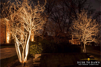 Dusk to Dawn Outdoor Lighting