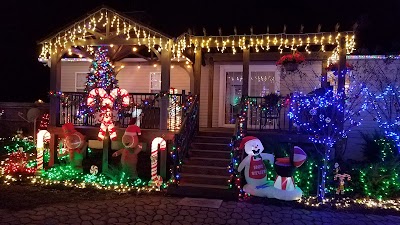 Freeman Lights