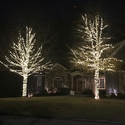 The Christmas Light Pros