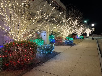 The New England Holiday Light Company